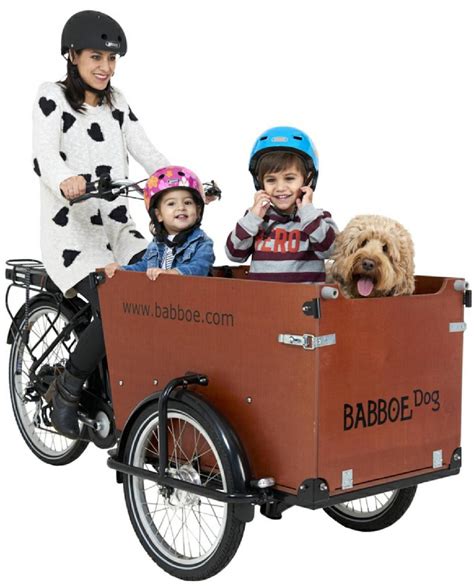 babboe dog bicycle